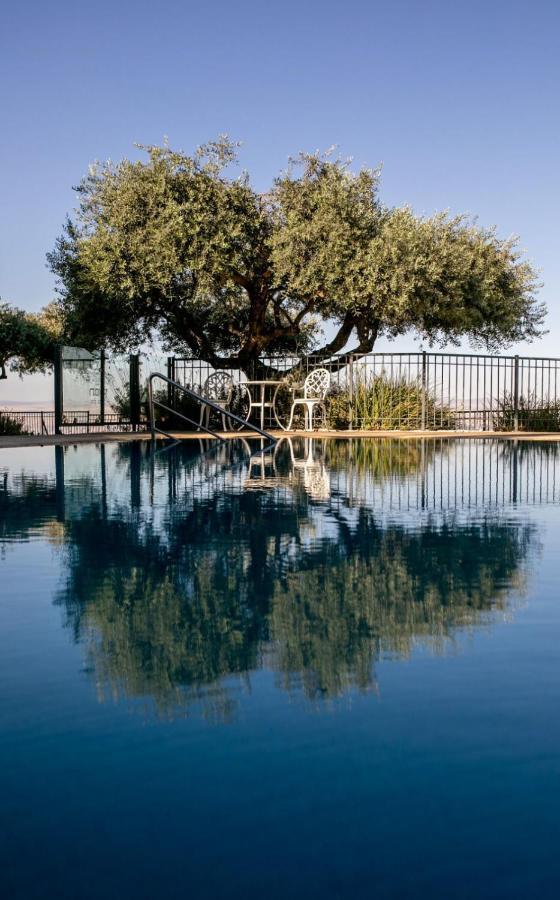 Boutique Hotel Tamarin Rosh Pinna Εξωτερικό φωτογραφία